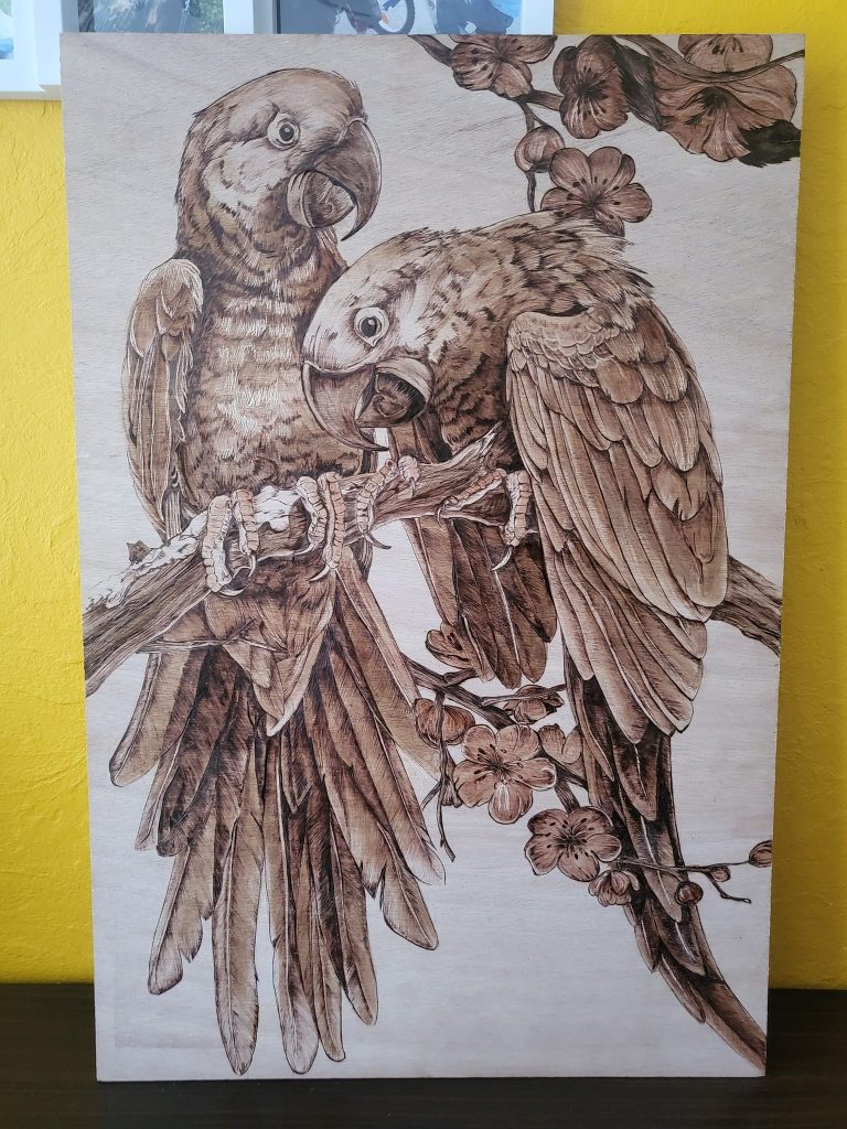 Pyrogravure deux perroquets sur branche d'arbre