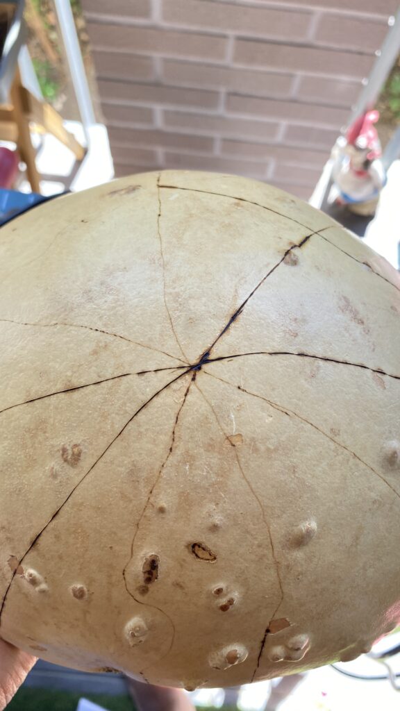 pyrogravure calebasse